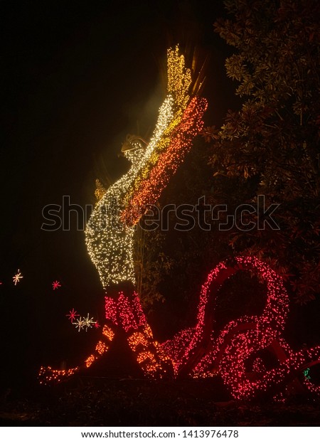 Atlanta Botanical Gardens Christmas Lights Stock Photo Edit Now