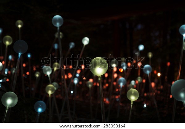 Atlanta Botanical Gardens Lights Garden Stock Photo Edit Now