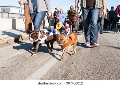 ATLANTA, GA - DECEMBER 5: Dogs Wearing Costumes Walk In A Dog Costume Parade On December 5, 2015 In Atlanta, GA.