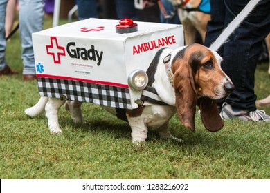 Atlanta, GA / USA - August 18 2018:  A Cute Basset Hound Wears An Ambulance Costume With Flashing Lights At Doggy Con, A Dog Costume Contest On August 18, 2018 In Atlanta, GA. 