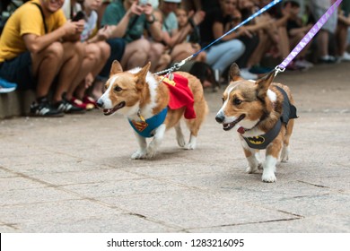 Atlanta, GA / USA - August 18 2018:  Two Corgi Dogs, One Wearing A Superman Costume, The Other A Batman Costume, Walk At Doggy Con, A Dog Costume Contest In Atlanta, GA. 