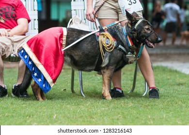 Atlanta, GA, USA - August 18, 2018:  A Dog Wears A Wonder Woman Costume At Doggy Con, A Dog Costume Contest In Woodruff Park On August 18, 2018 In Atlanta, GA.