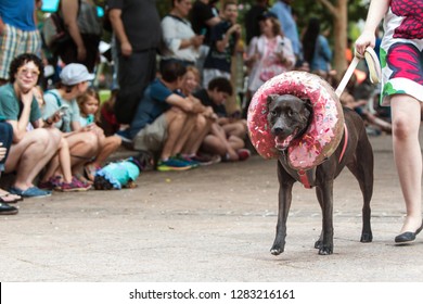 Atlanta, GA / USA - August 18, 2018:  A Dog Wearing A Doughnut Costume Around His Head Walks In Front Of A Crowd Of Spectators At Doggy Con, A Dog Costume Contest In Woodruff Park In Atlanta, GA.