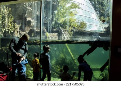 Atlanta USA 8th Oct 2022: The Tourists Are Watching Turtles In Enclosure Georgia Extermes Of SCALY SLIMY SPECTACULAR (new Amphibian And Reptile Complex) In Zoo Atlanta. 