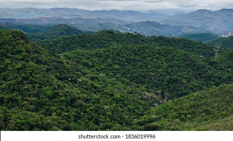 Atlantic Forest Remnant Located In Nova Lima, MG, Brazil