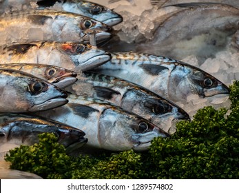 Atlantic Mackerel On Ice At A Fishmongers In London's Borough Market, UK