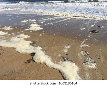 Atlantic Ocean Salisbury Beach Massachusetts