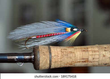 Atlantic Salmon and trout streamer fly called 