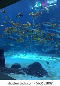 Atlantis, Bahamas