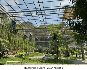 atmosphere in the aviary during the day.