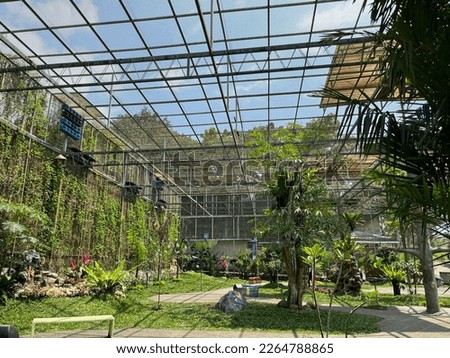 atmosphere in the aviary during the day.