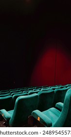 The atmosphere in the cinema when the audience is empty