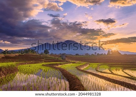 the atmosphere of the morning sunrise over the terraces of rice fields and high mountains