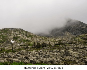 Atmospheric forest landscape with coniferous trees in low clouds in rainy weather. Bleak dense fog in mountains under gray cloudy sky in rain. Mysterious scenery with coniferous forest in thick fog. - Powered by Shutterstock