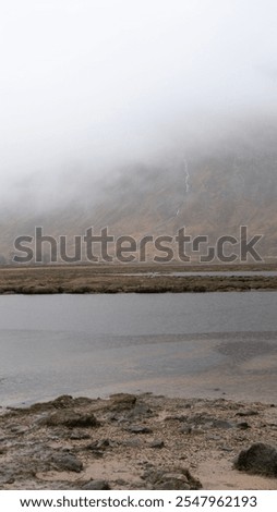 Similar – Image, Stock Photo An ethereal landscape showcasing a blur of golden wildflowers against a backdrop of serene trees under a soft, hazy sunrise