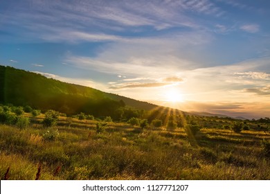 Atmospheric Landscape Of Walnut Grove At Sunset.