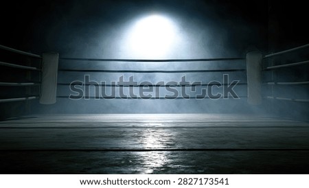 An atmospheric shot of an empty boxing ring, illuminated by a single spotlight from above, with wisps of smoke adding to the dramatic effect.