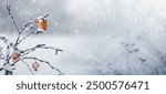 Atmospheric winter landscape with snow covered thin tree branches with dry leaves on blurred background during snowfall