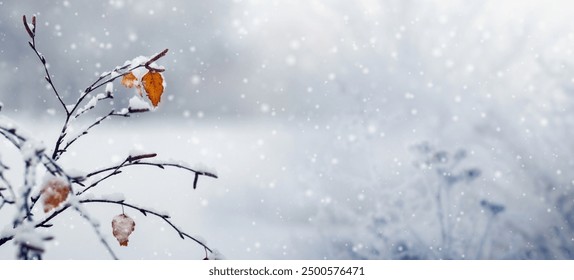 Atmospheric winter landscape with snow covered thin tree branches with dry leaves on blurred background during snowfall - Powered by Shutterstock