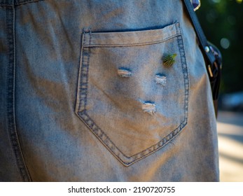 Attached Burdock On The Right Back Jeans Pocket.