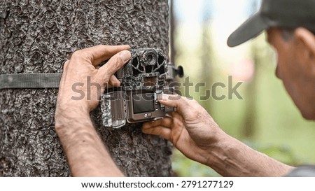 Attaching and adjustment the camera trap to the tree trunk. Camouflage digital trap with motion pir sensor and infrared flash used for wildlife observation or scientific research.