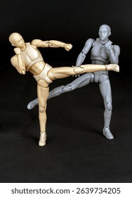 Attacker push-kicks with the right. Defender sidesteps diagonally, parries with right arm, then spins and counters with a left kick.