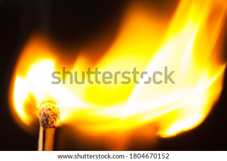 Attention, dangerously ignite a match in the woods, lawn large fire flame black background