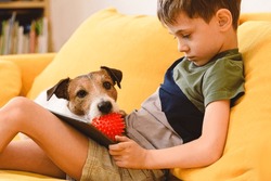 Attention Seeking Dog Behaviour Concept. Bored Dog Disturbs Boy Watching Video On Tablet Computer