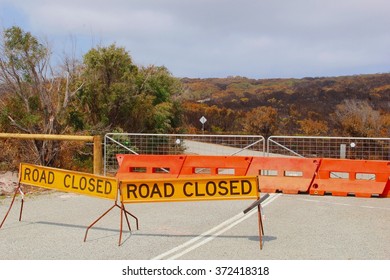 Attention Traffic Safety Signs, Roads Are Closed, Blocked And Prohibited After Severe Bushfires, Black Burnt Forest Trees And Danger Zone In Mountain Hill Bushlands, Australia