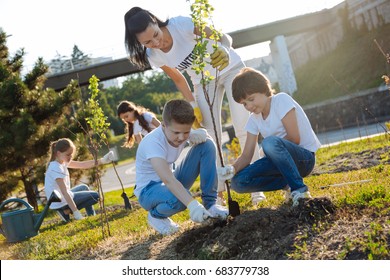 Attentive boys planting new tree in park