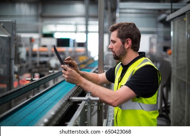 Attentive Factory Worker Using A Digital Tablet In Factory