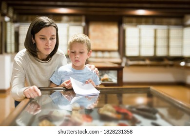 Attentive Young Woman With School Age Boy Exploring Artworks In Glass Case In Museum