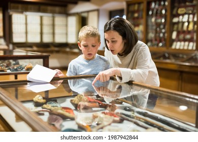 Attentive Young Woman With School Age Boy Exploring Artworks In Glass Case In Museum