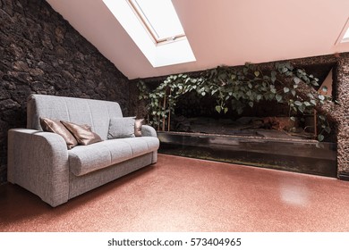 Attic room with a comfortable sofa and a large terrarium