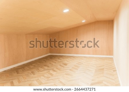 Attic storage in homes, ceiling storage

