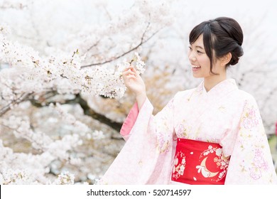 attractive asian woman wearing kimono looking cherry blossoms