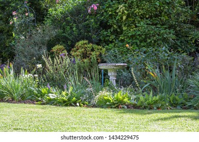 An Attractive Autumn Garden In Cape Town, South Africa With An Empty Concrete Decorative Bird Bath In The Flower Bed And Surrounded By Green Vegetation As Well As Exotic And Indigenous Plants