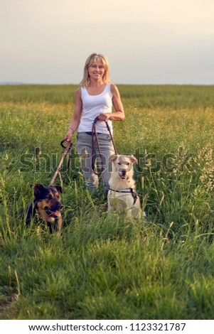 Similar – Image, Stock Photo Attractive womanon a rural path with dogs at sunset