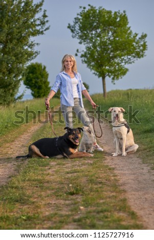 Similar – Attractive smiling blond woman with her two dogs