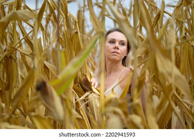 Attractive blond woman wearing a gold dress is standing in the middle of a corn field looking aside depp in thought