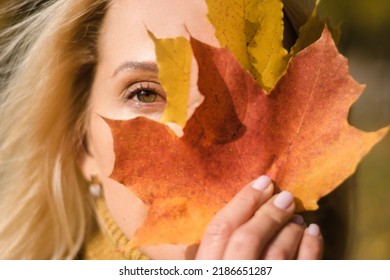 Attractive blonde woman in a yellow sweater is covering half of her face with a yellow and orange maple leaves in the autumn park.Autumn concept.Beauty in nature.Selective focus,close-up.