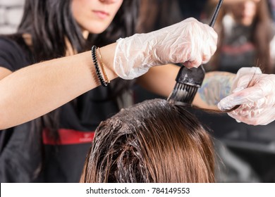 Attractive brunette hairdresser thoroughly dyeing hair of female client while she is sitting in chair in beauty salon - Powered by Shutterstock