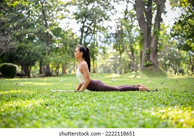 Attractive and charming Asian woman in sportswear doing Upward facing dog yoga pose, practicing yoga in the beautiful green garden.  - Powered by Shutterstock