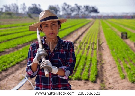 Attractive Colombian female farmer in straw hat standing on farm field with hoe in her hands on sunny summer day
