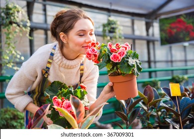 Attractive cute woman gardener smelling pink flowers in pot with eyes closed in greenhouse