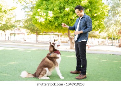 Attractive Dog Trainer Teaching A His Big Brwon Pet To Sit Down In The Park's Green Grass