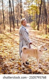 Attractive Female And Pet Dog Akita Inu Posing Outside, Walking In Park Or Forest. Good-looking Short-haired Lady In Elegant Autumn Coat Stand With Dog In Contemplation Of Cozy Weather, Feel Happiness