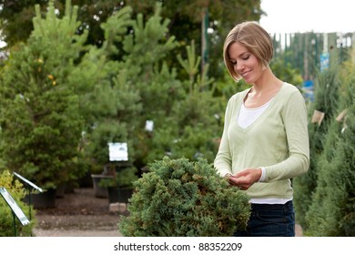 Attractive female purchasing shrub