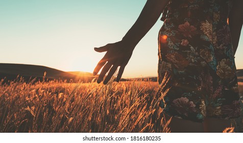 Attractive female in summer dress touches with hand meadow with sunset in the background. Intentional cinematic golden evening filter.Conceptual wide angle panoramic background .