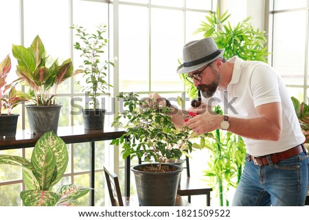 Attractive handsome man looking to small tree and holding scissors to cut leaf . Owner small business garden with mustache beard smoking pipe hat and glasses decoration and care all for sell in house.